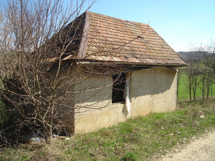 DSC00519