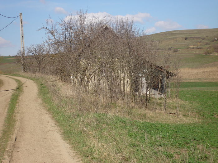 DSC00537