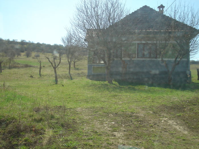 DSC00541