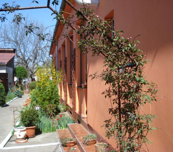 crampeie de primavara (10) - b 2015 - in exterior