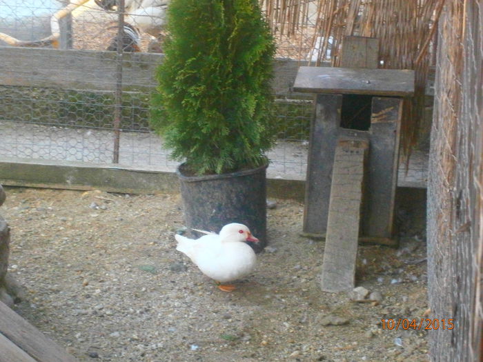 asta e....eu stau de paza!!