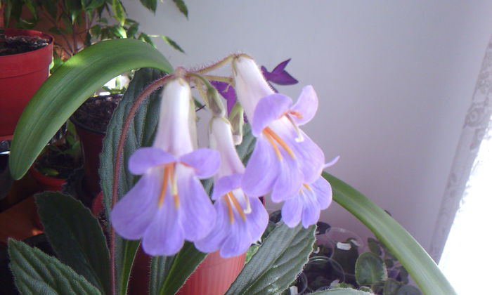 2015-04-16 17.37.35