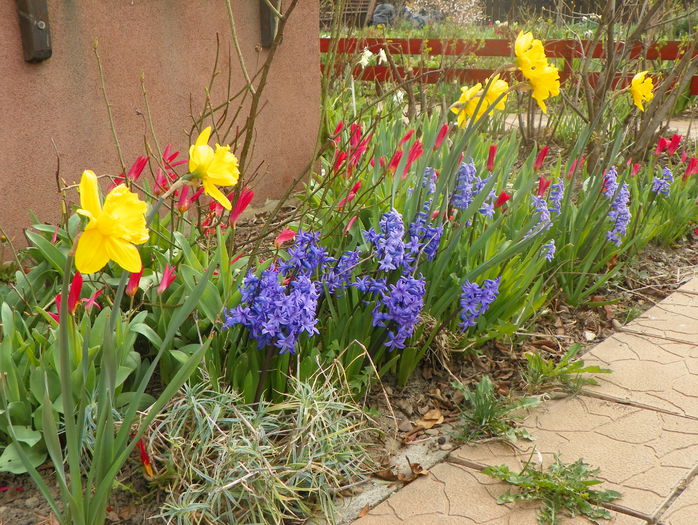 16 apr. 023 - Primavara 2015