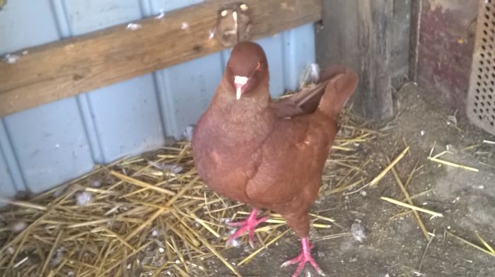 WP_20150411_13_27_18_Pro