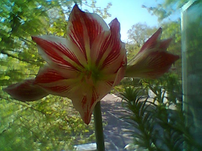 Fotogr.2014