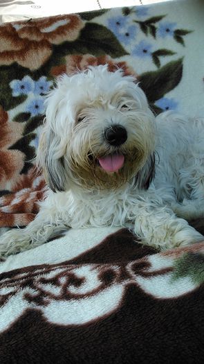 DSC_0989 - Fritz  Bella  Mimi