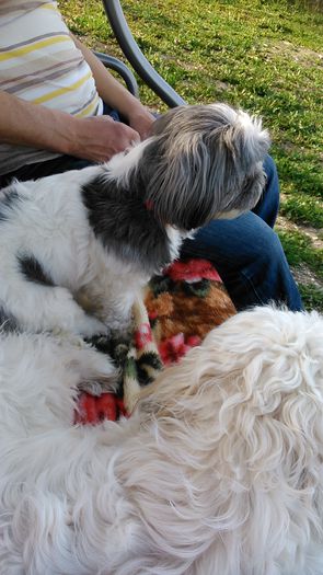 DSC_0969 - Fritz  Bella  Mimi