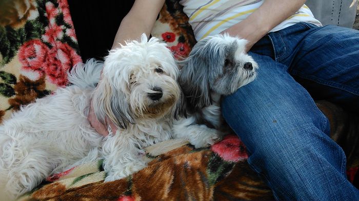 DSC_0971 - Fritz  Bella  Mimi