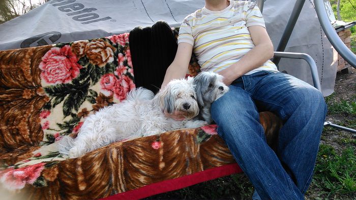 DSC_0973 - Fritz  Bella  Mimi