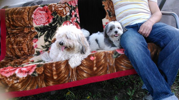 DSC_0974 - Fritz  Bella  Mimi