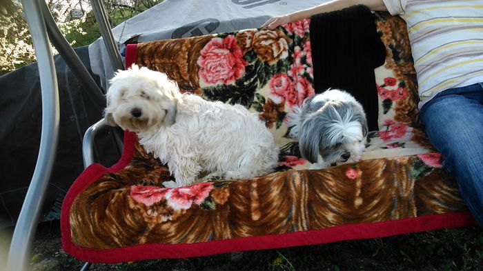 DSC_0975 - Fritz  Bella  Mimi