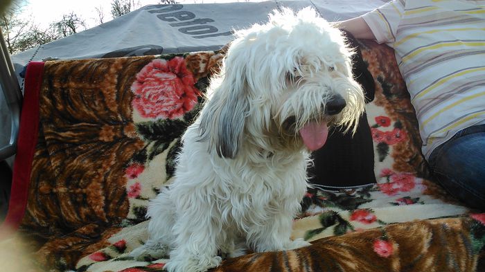 DSC_0978 - Fritz  Bella  Mimi