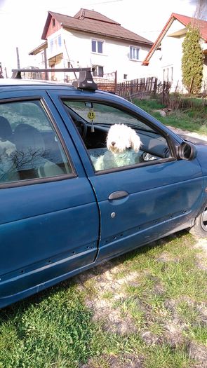 DSC_0980 - Fritz  Bella  Mimi