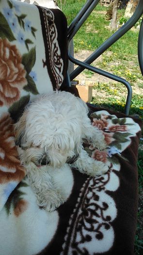 DSC_0986 - Fritz  Bella  Mimi