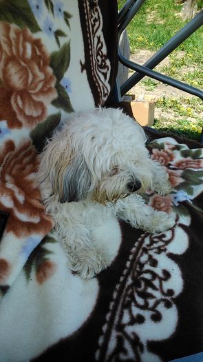 DSC_0987 - Fritz  Bella  Mimi