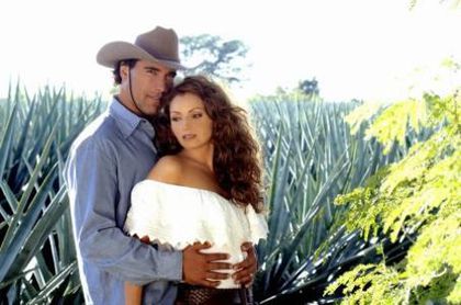 destilando-amor-464319l-imagine