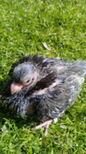 102759097_GMXHWUN3[1]