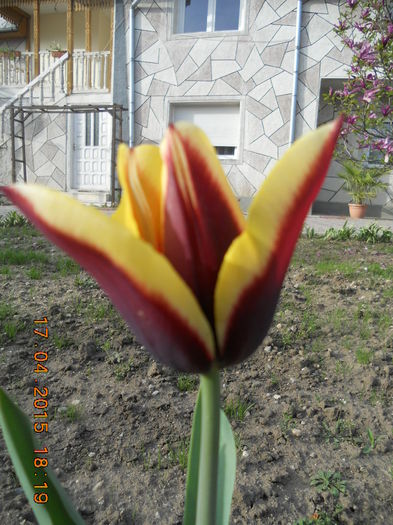 DSCN4213