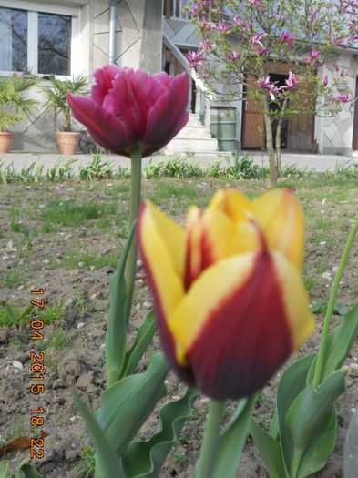 DSCN4224