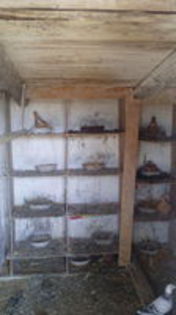 102692214_SHMPSEV[1]