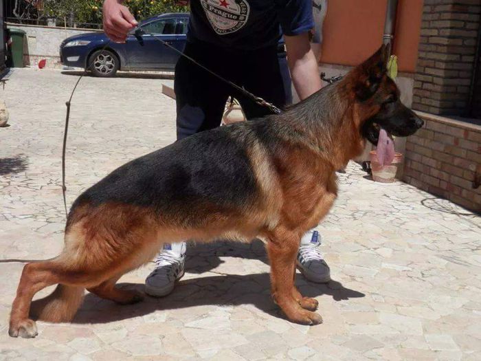 FB_IMG_1429268198473 - CEVA amintiri
