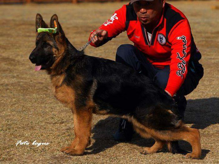 FB_IMG_1429268186885 - CEVA amintiri