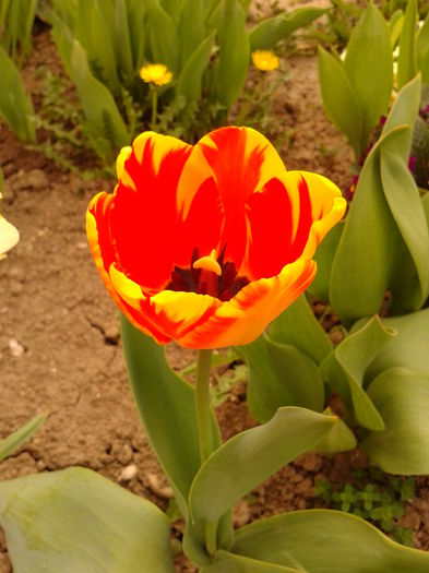 Fotografie0032