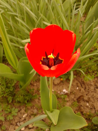 Fotografie0033