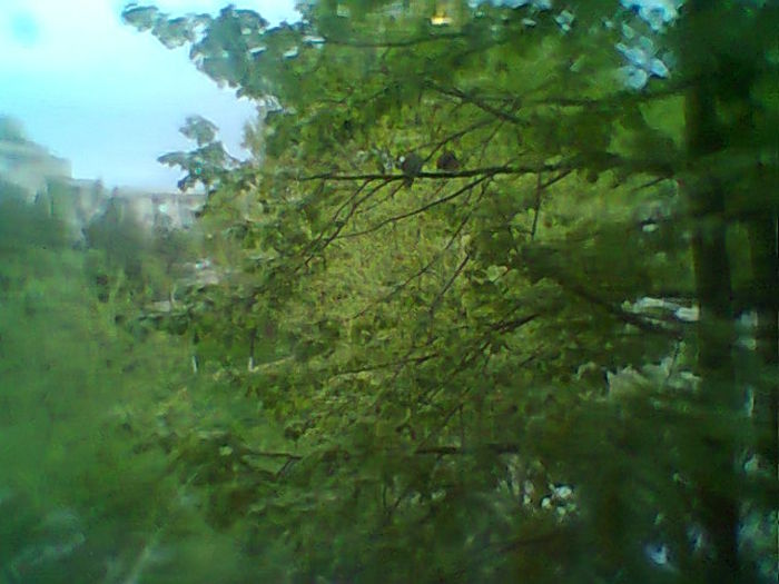 Fotogr.2025