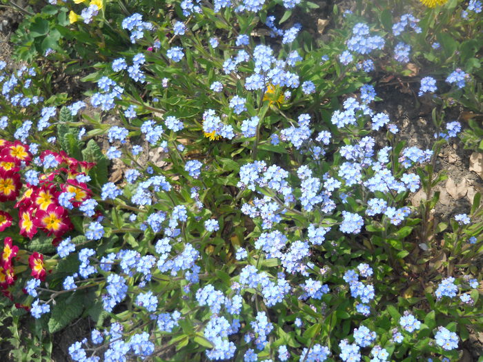 DSCN7510