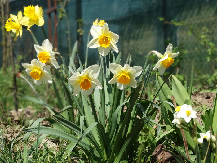 13.04.2015