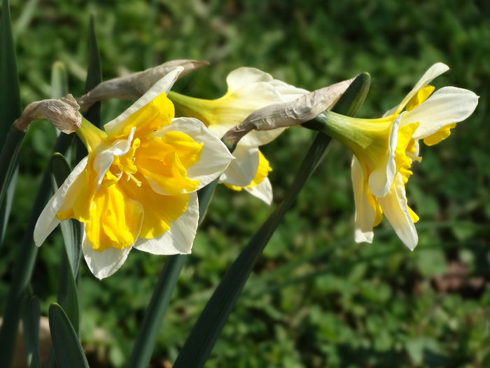 13.04.2015