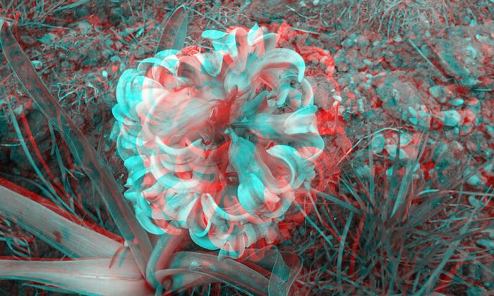 20150419_155425 - 3D ANAGLYPH