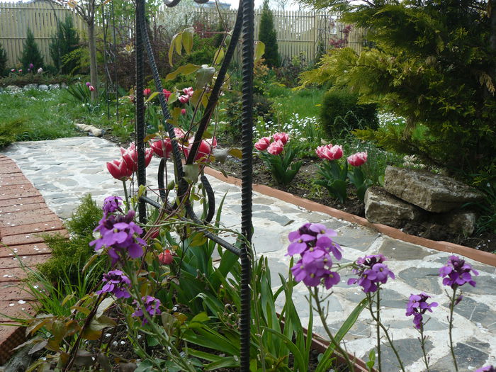 P1190733 - Gradina rozelor Aprilie 2015