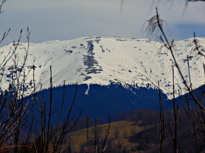 DSC06647 - Poze natura