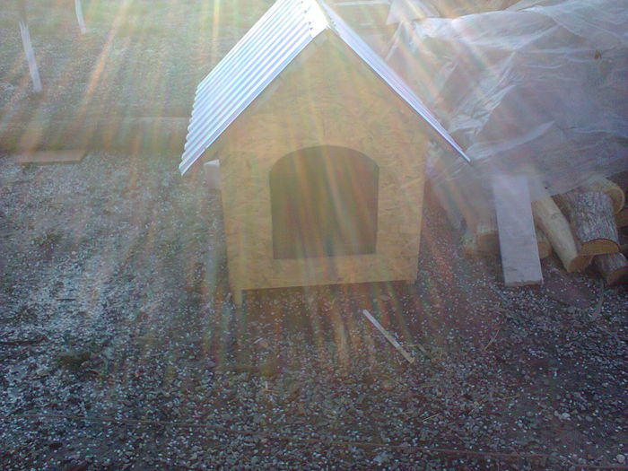 Fotografie0217 - stupi orizontali