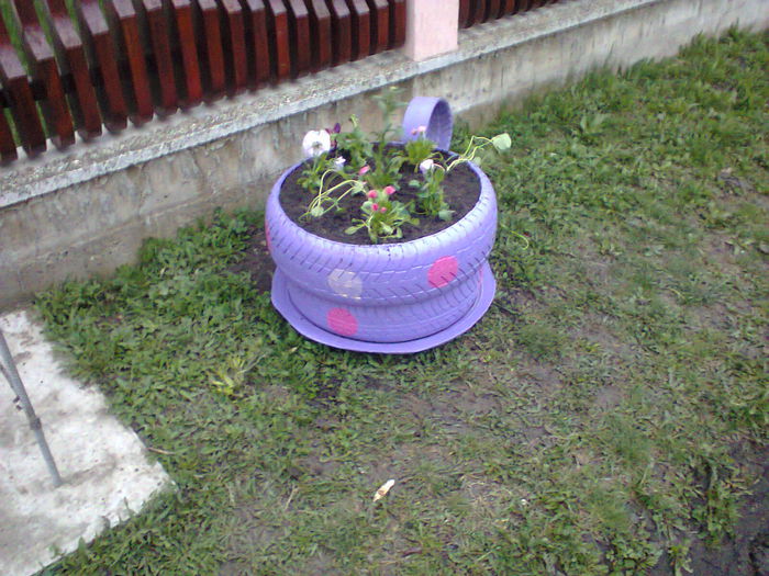 Fotografie0173 - mobilier gradina