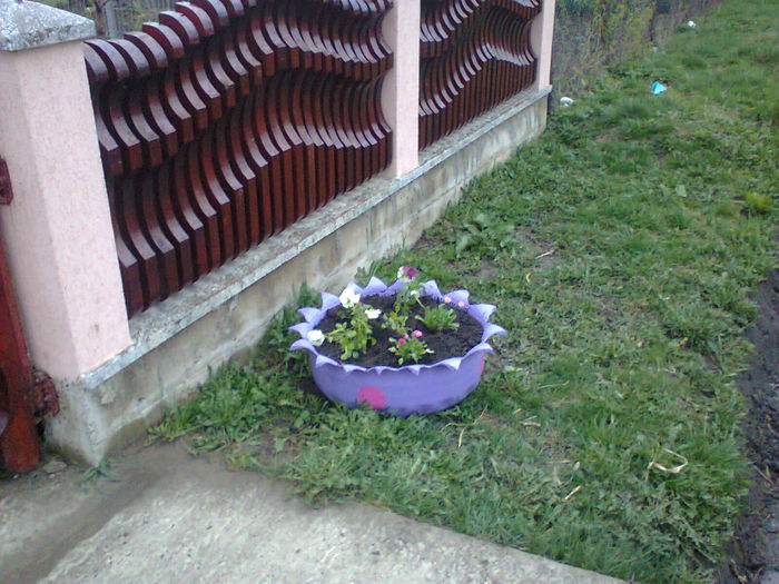 Fotografie0176 - mobilier gradina