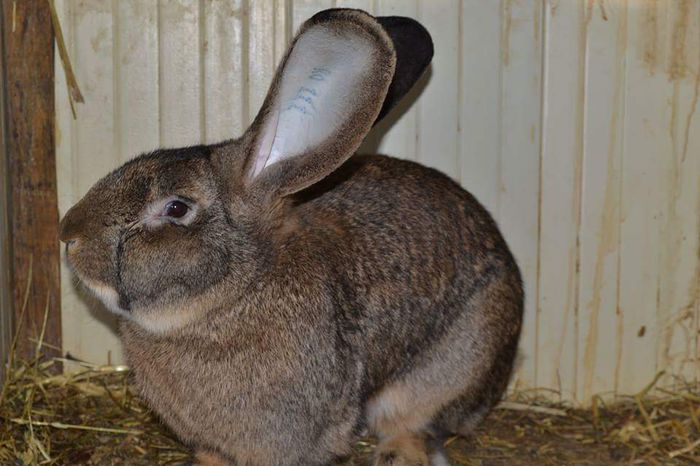 received_961008747256481