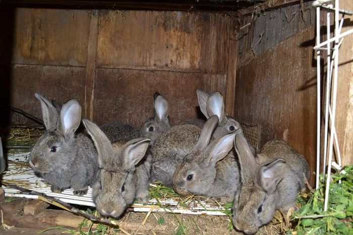 received_961011003922922