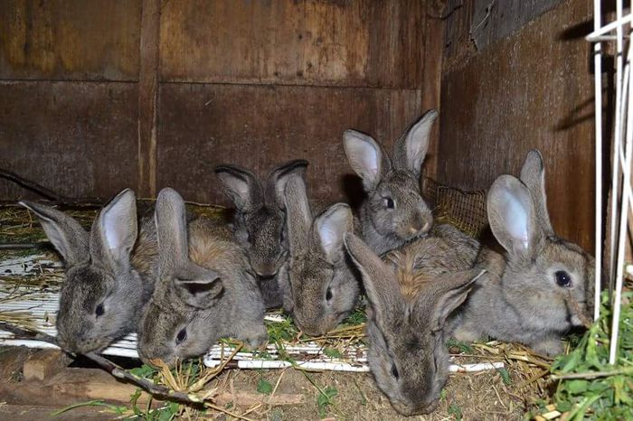 received_961010787256277