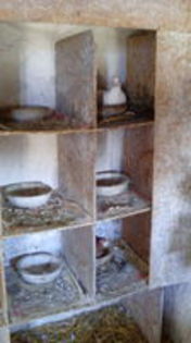 102692126_MIHSSMH3[1]