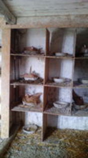 102727435_HEKTZPC[1]