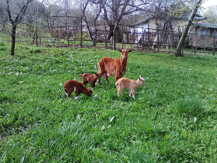 IMG_20150419_103723 - Copy