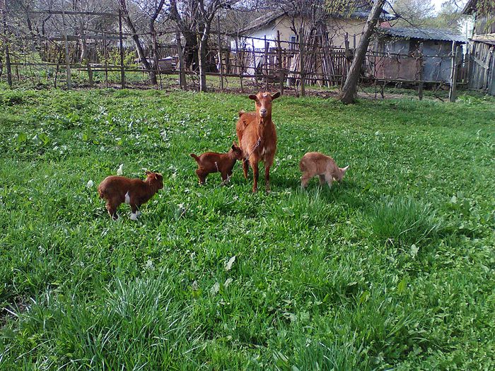 IMG_20150419_103734 - Copy