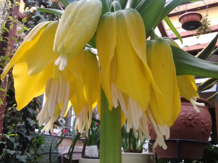 20150414_095639