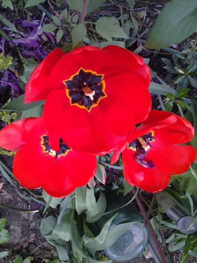 20150416_141256