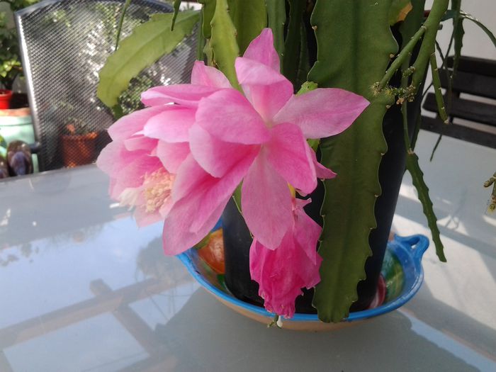 20150414_161005