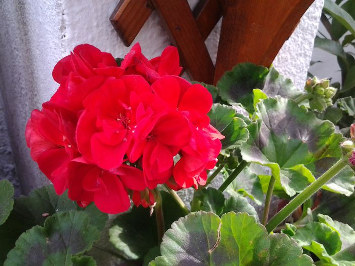 20150414_100004