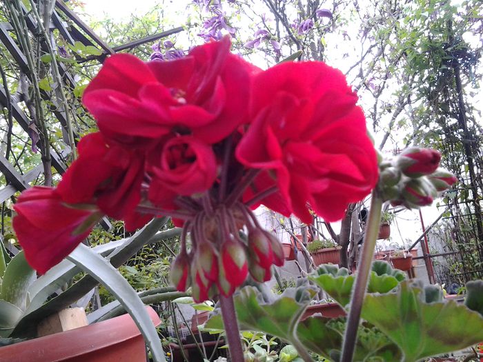 20150416_084745